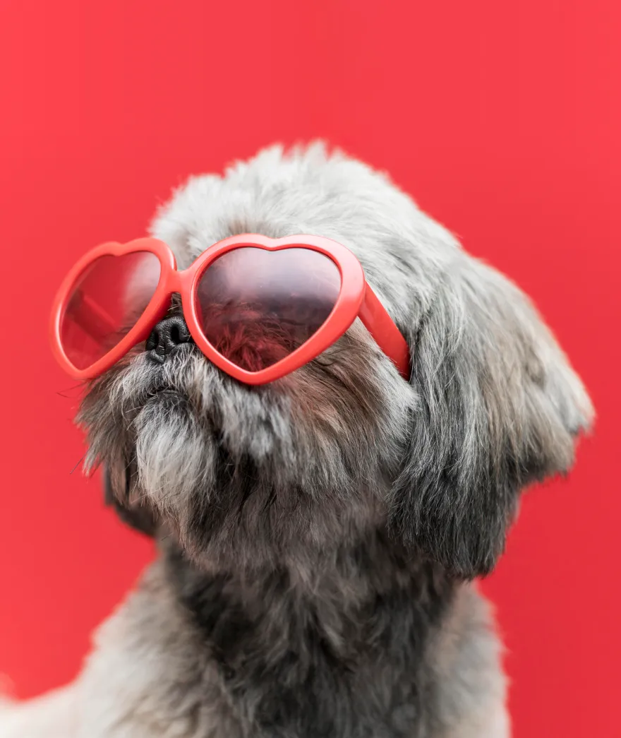 Image – Webflow Ecommerce Website Template